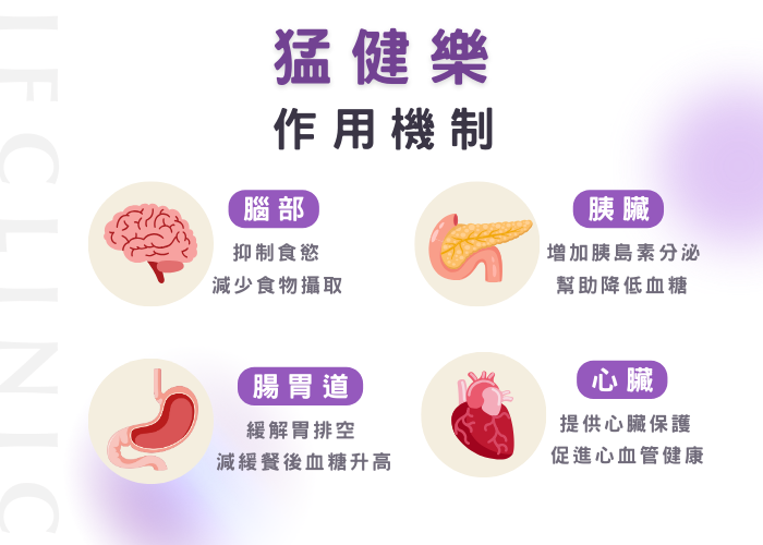 Mounjaro猛健樂2
