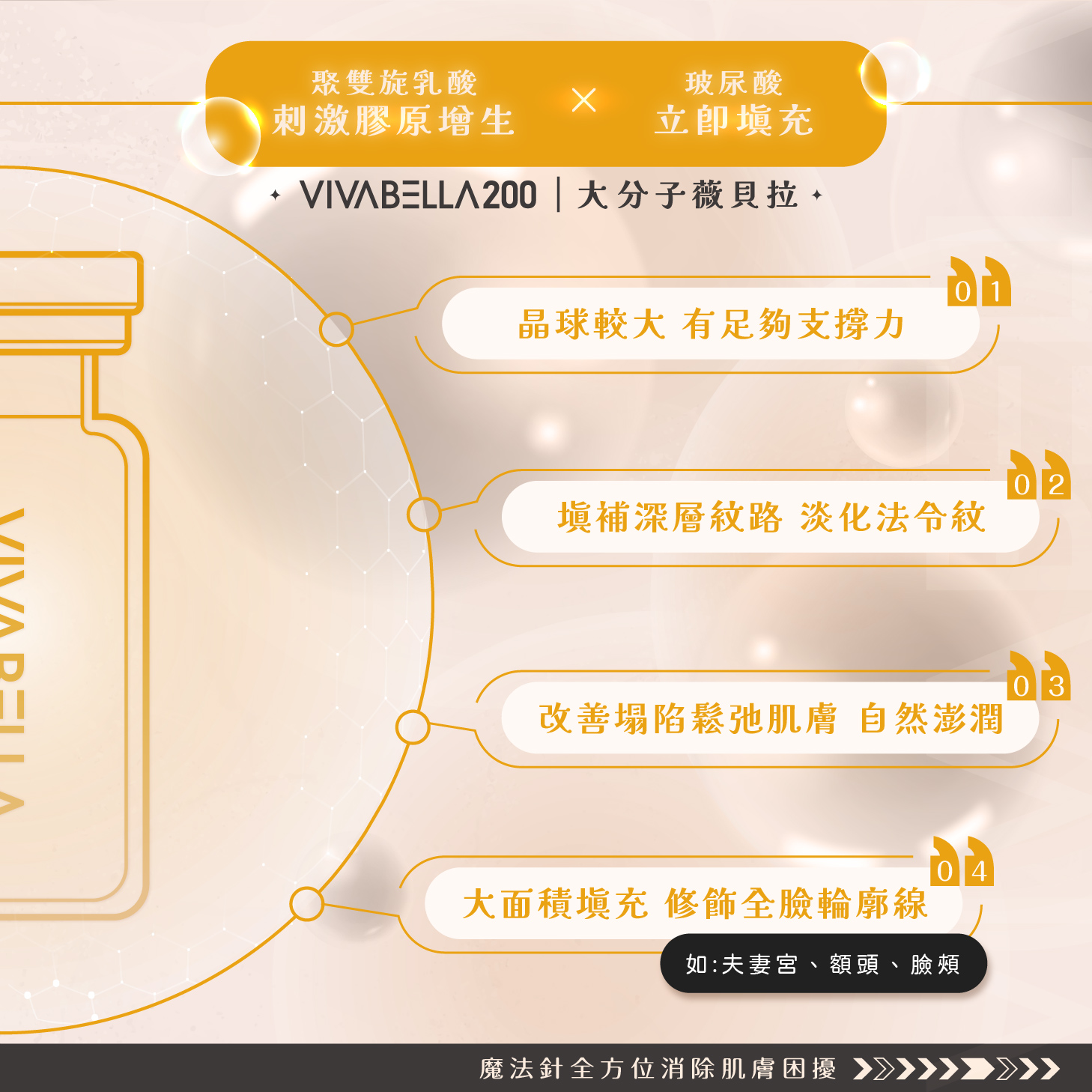 認識薇貝拉2